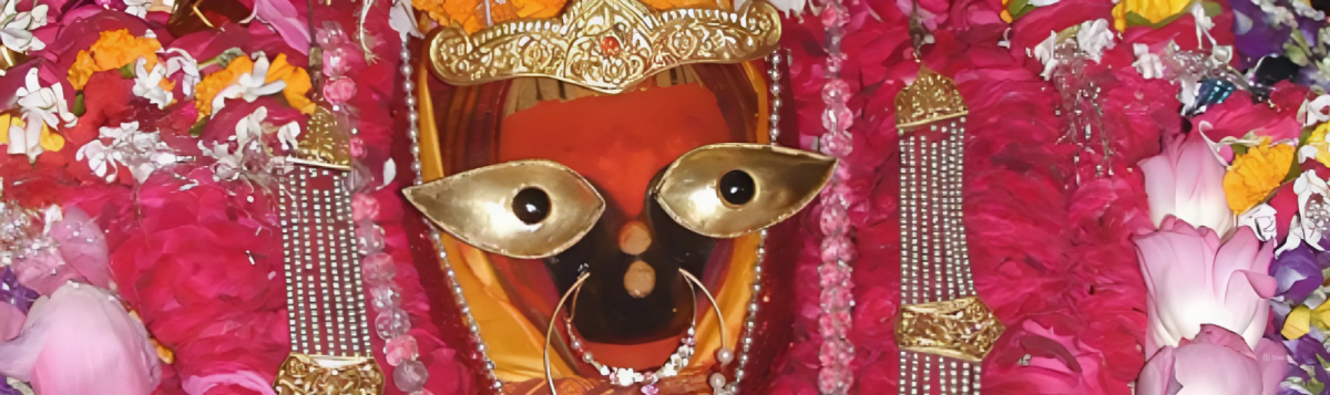 सा विद्या या विमुक्तये : मनुष्य को मुक्ति दिलाये वही विद्या है https://www.shishirchandrablog.in/